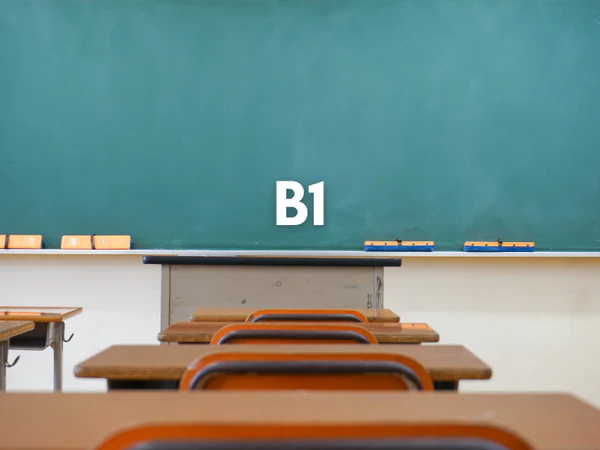 B1 1